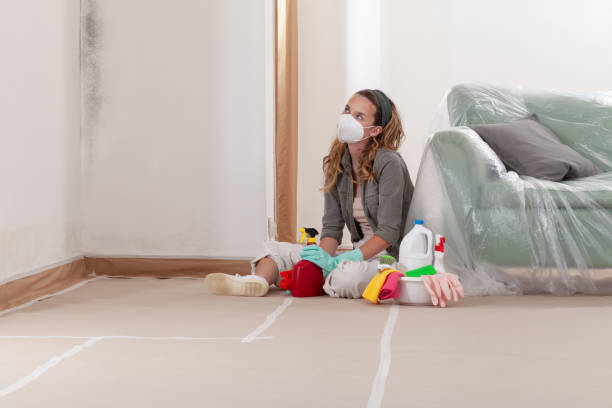 Reliable Mold Remediation contractor in Middletown, PA by WQB Mold Removal